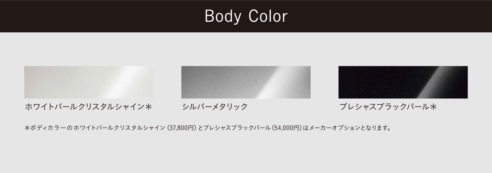 新車 マークX 特別装備 Body Color