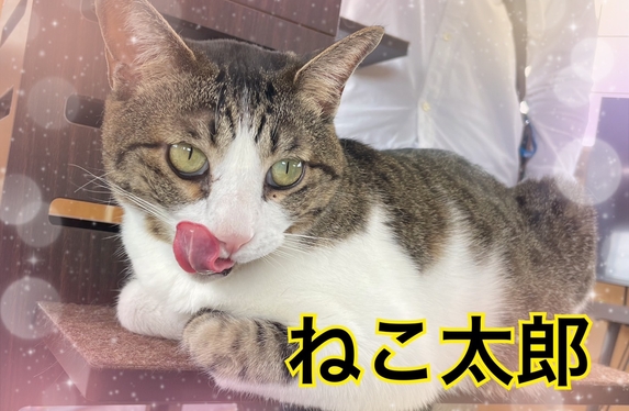 ☆遠賀店☆飯塚ほとめき市場「ねこ太郎」に行ってきました！！
