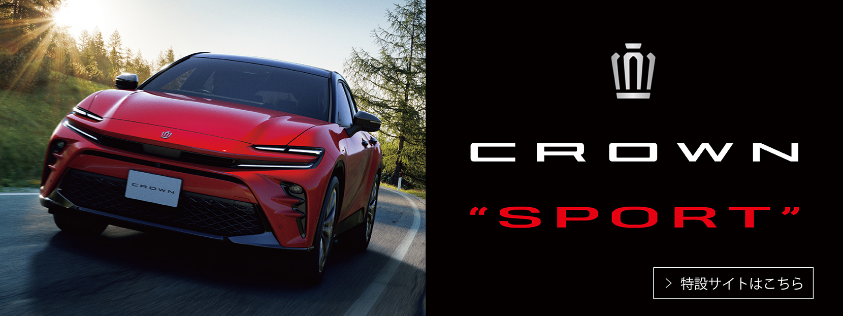 new_car_banner