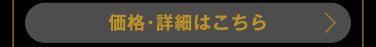 価格・詳細はこちら