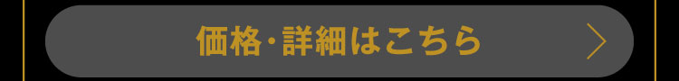 価格・詳細はこちら