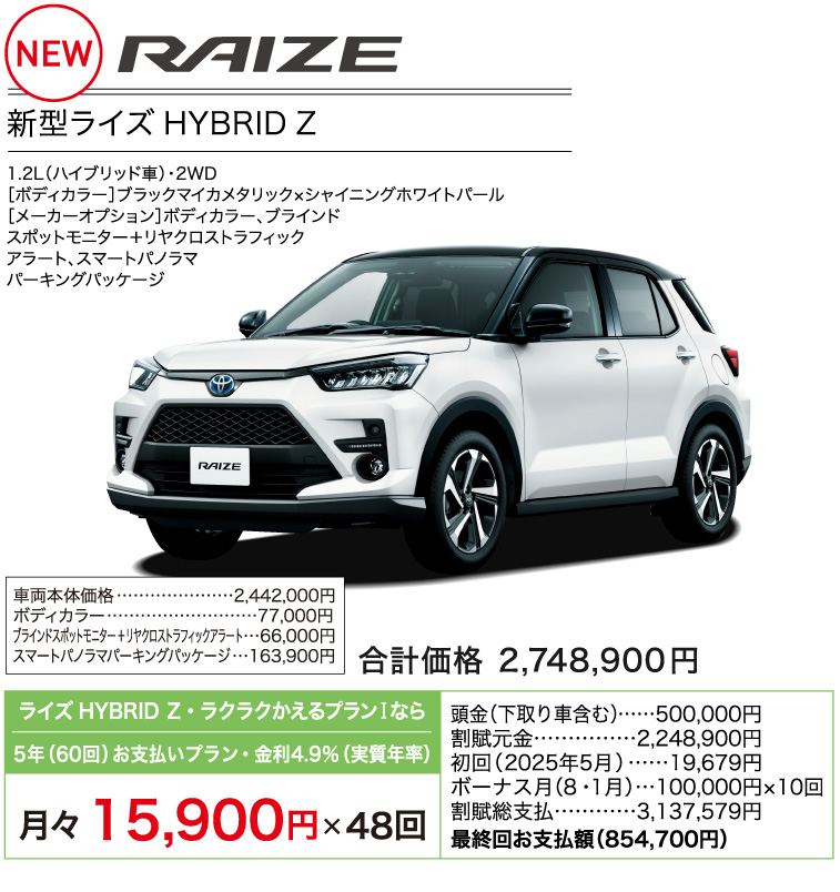 新型ライズ HYBRID Z