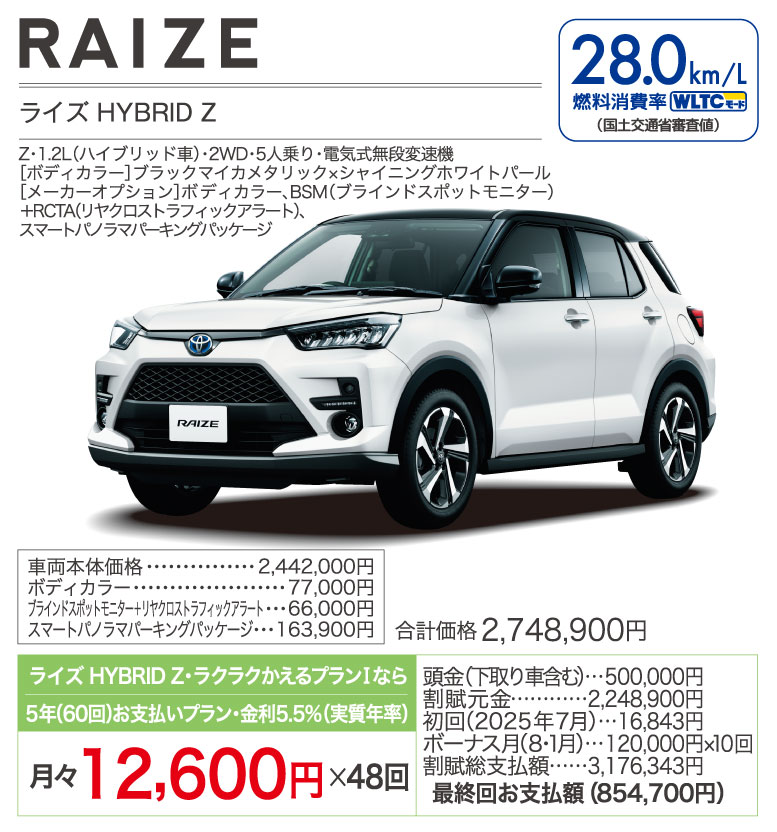 ライズ HYBRID Z