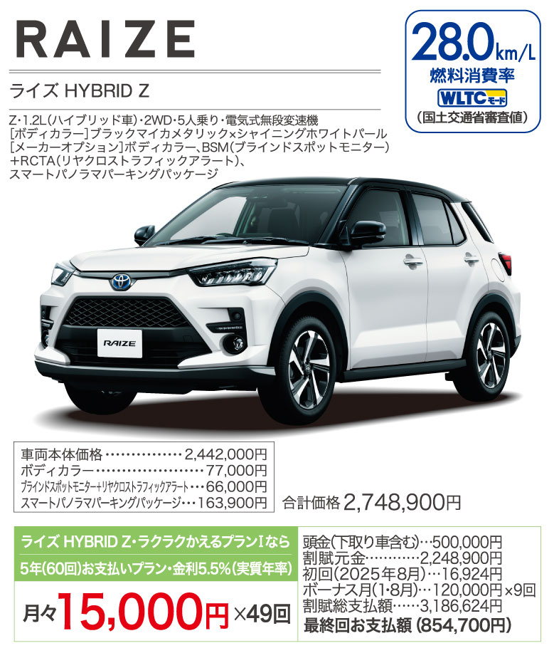 新型ライズ HYBRID Z