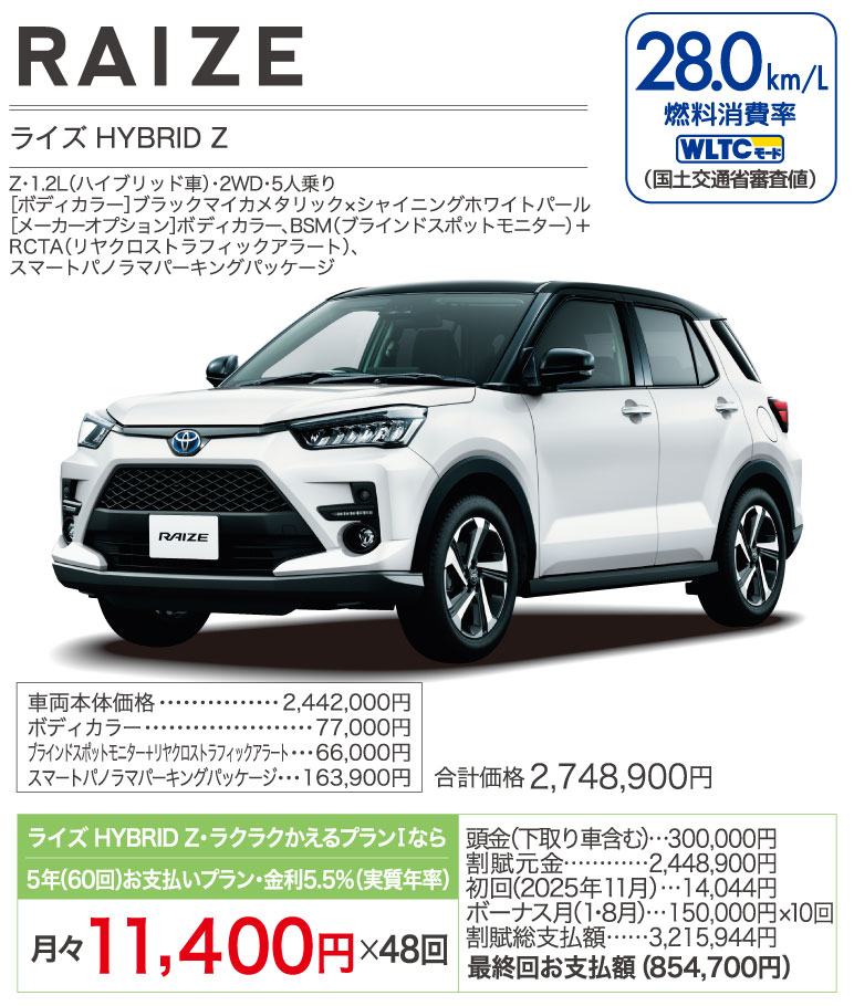 ライズ HYBRID Z