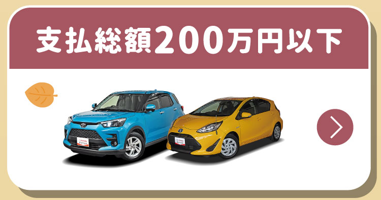 支払総額200万円以下