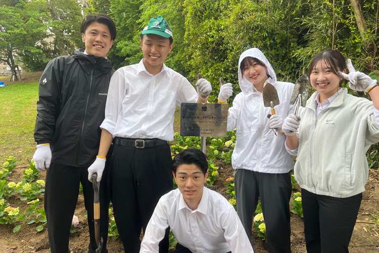 グリーンキャンペーン