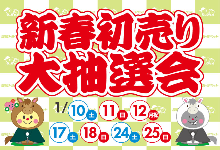 新春初売り大抽選会 | トヨタ車のことなら福岡トヨペット[公式]