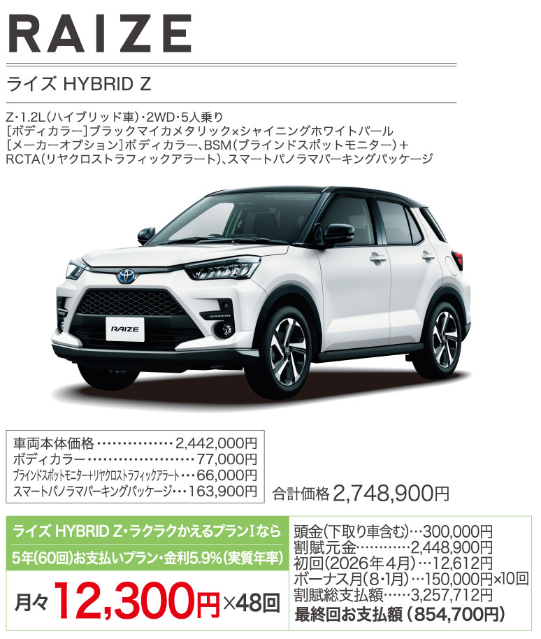 ライズ HYBRID Z