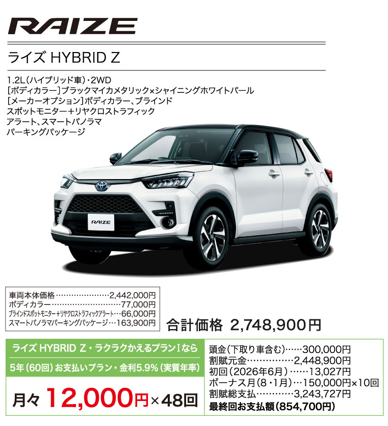 ライズ HYBRID Z