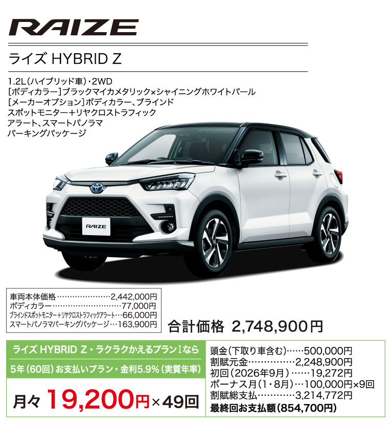 RAIZE