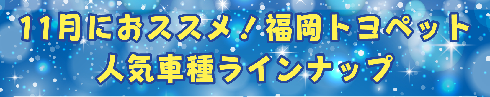 11月におすすめの人気車種ラインナップ