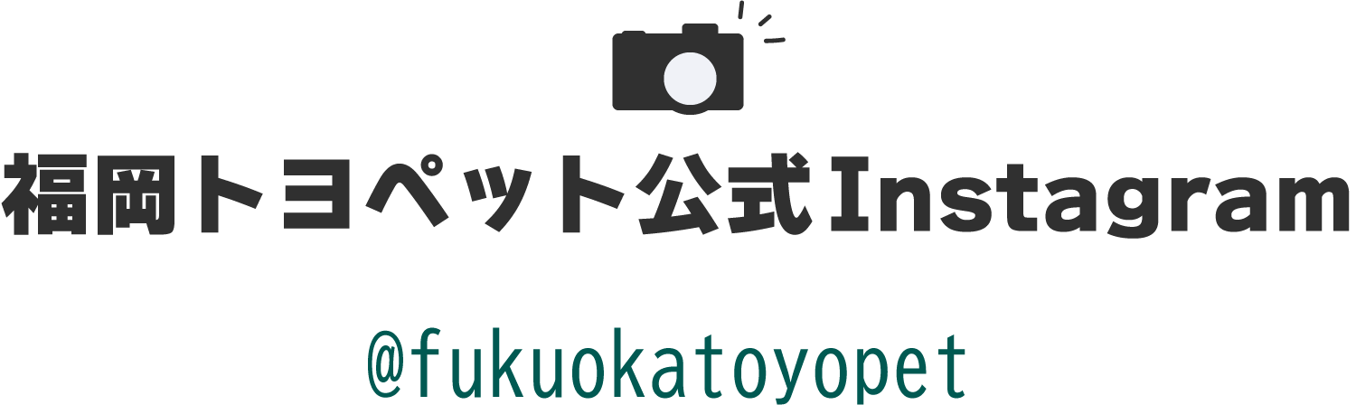 福岡トヨペット公式Instagram @fukuokatoyopet