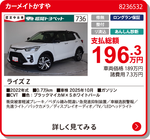 ﾗｲｽﾞ Z 196.3万円