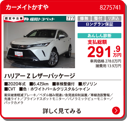 カーメイトかすや ﾊﾘｱｰ Z ﾚｻﾞｰﾊﾟｯｹｰｼﾞ 291.9万円