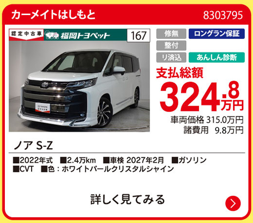 カーメイトはしもと ノア S-Z 324.8万円