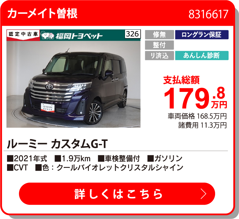 カーメイト曽根 ﾙｰﾐｰ ｶｽﾀﾑG-T 179.8万円