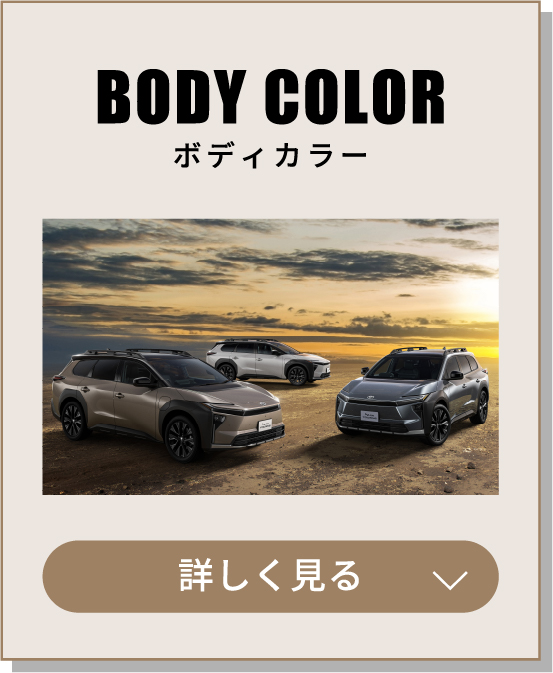 BODY COLOR