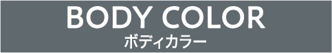 BODY COLOR
